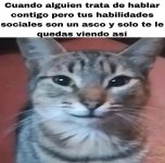 habilidades...ser como prros.jpg