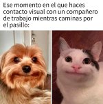 Compa del trabajo ,ser como prros.jpg