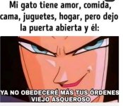 El titulo fue a buscar al gato ,prros.jpg
