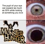 er titulo esta jugando monster hunter tb prros.jpg