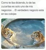 er verdadero negocio be like prros.jpg