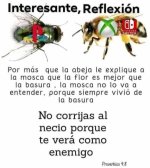 ???? Cada quien defiende su consola favorita... pero algunos debates nunca tienen fin. ????‍♂️.jpg