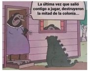 la mitad d la colonia Xddddd.jpg
