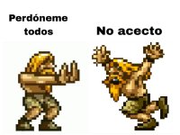 No acecto ,prros.jpg