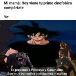 Cinofobia es miedo a los perros ,prros.jpg