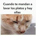 cuando t mandan a lavar platos y hay ollas.jpeg