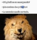 escuchar ,ser como prros.jpg