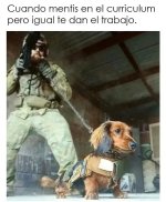 igual t dan...Xddddd.jpg