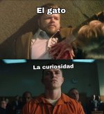 el gato x la curiosidad ,ser como prros.jpg