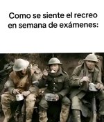 recreo ,ser como prros.jpg