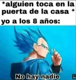no hay nadie...prros.jpg