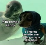 nada m quita el hambre...prros.jpg