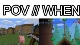 POV x WHEN prros.jpg