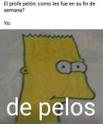 d pelos...prros.jpg