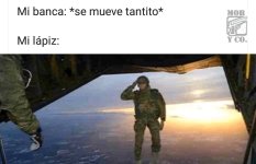 bye prros.jpeg
