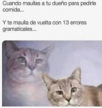 Er titulo tambien dice Miau v3 ,prros.jpg
