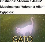 1 Un whiskas x ellos prros.jpg