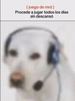 pnche juego to estupid... procede a jugar d new prros.jpg
