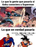 LMAO x true history prros.jpg