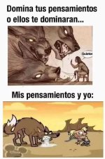 mis pensamientos x yo...en corto prros Xddddd.jpg