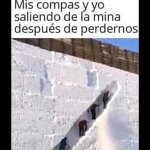 Volvimos vivos de la mina y eso ya es logro suficiente...prros.jpg