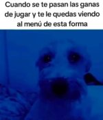 Mmmmm.....x Kha moment ,prros.jpg