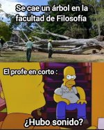 cae un árbol en filosofía y el profe pregunta si hubo sonido...prros.jpg