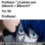 50 q prros.jpg
