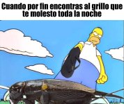 xfin...prros.jpg