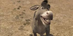 burro.jpg
