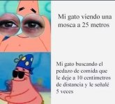 mi gato Xddddd.jpg