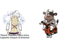 Romper el internet es fácil, solo no seas One piece...prros.jpg