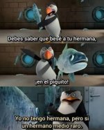 yo n tengo hna...prros.jpg