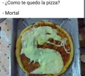 mortal...prros.jpg