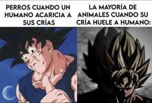 Ardillas y hurones en corto ,hijo d Adan reconozco la autoridad que el supremo creador os ha d...jpg