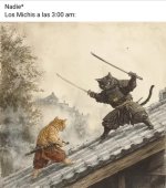 gatos a las 3 am ,ser como prros.jpg