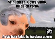 Ci se nubla en jueves santo ,mi tía ya sabe lo q viene...prros.jpg