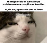 yo n he sentido nha...prros.jpg