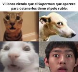 Villanos viendo que el superman que aparece para detenerlos tiene el pelo rubio...prros.jpg