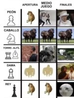 Las piezas del ajedrez y su valor a lo largo de la partida,ser como prros.jpg