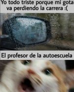 El profe de la autoescuela en corto...prros.jpg