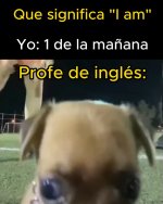 er profe en corto...x v 1.4.8 prros.jpg