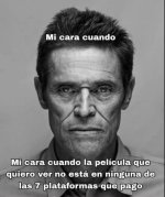 m cara cuado...x v 1.1.7 prros.jpg