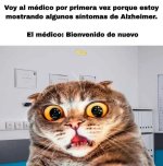 voy al médico por Alzheimer y me recibe como si ya me conociera de antes....jpg