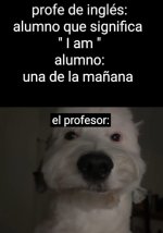 el profe...x v 1.1.8.jpg