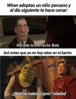 Cómo les dicen a los hámsters grandes sig int x Cobayas , cuyos, conejillos de indias sig int x.jpg