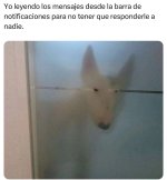 Leyendo notis como ninja pa no contestar a nadie....jpg