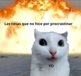 Todo lo que no logré por seguir dándole a comillas x luego lo hago x comillas.jpg