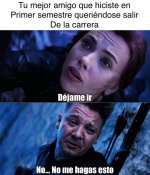 queriendo dejar la carrera ,prros.jpg