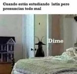 Estudiando latín x y parezco invocando demonios....jpg